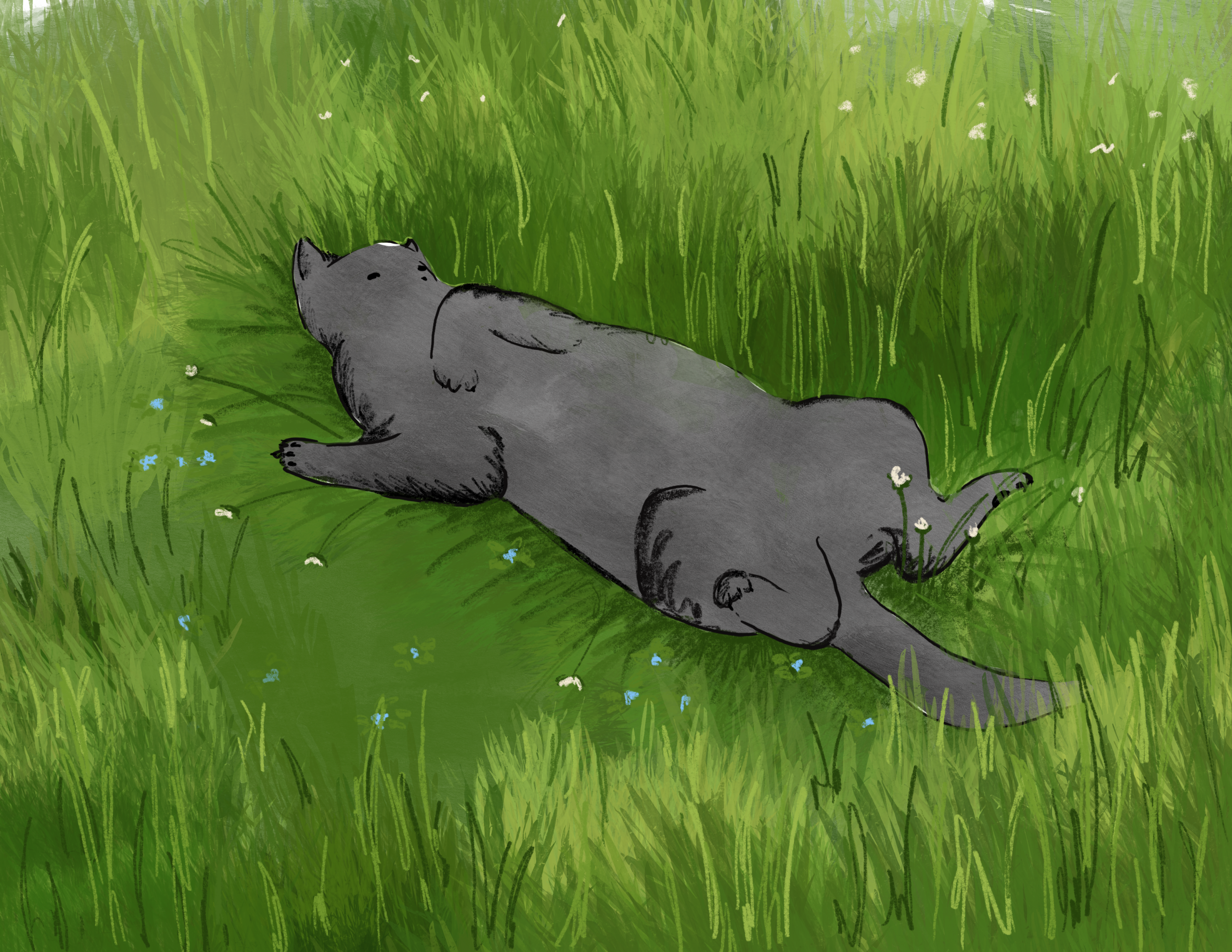 Illustrations of cats for childrens books and animation